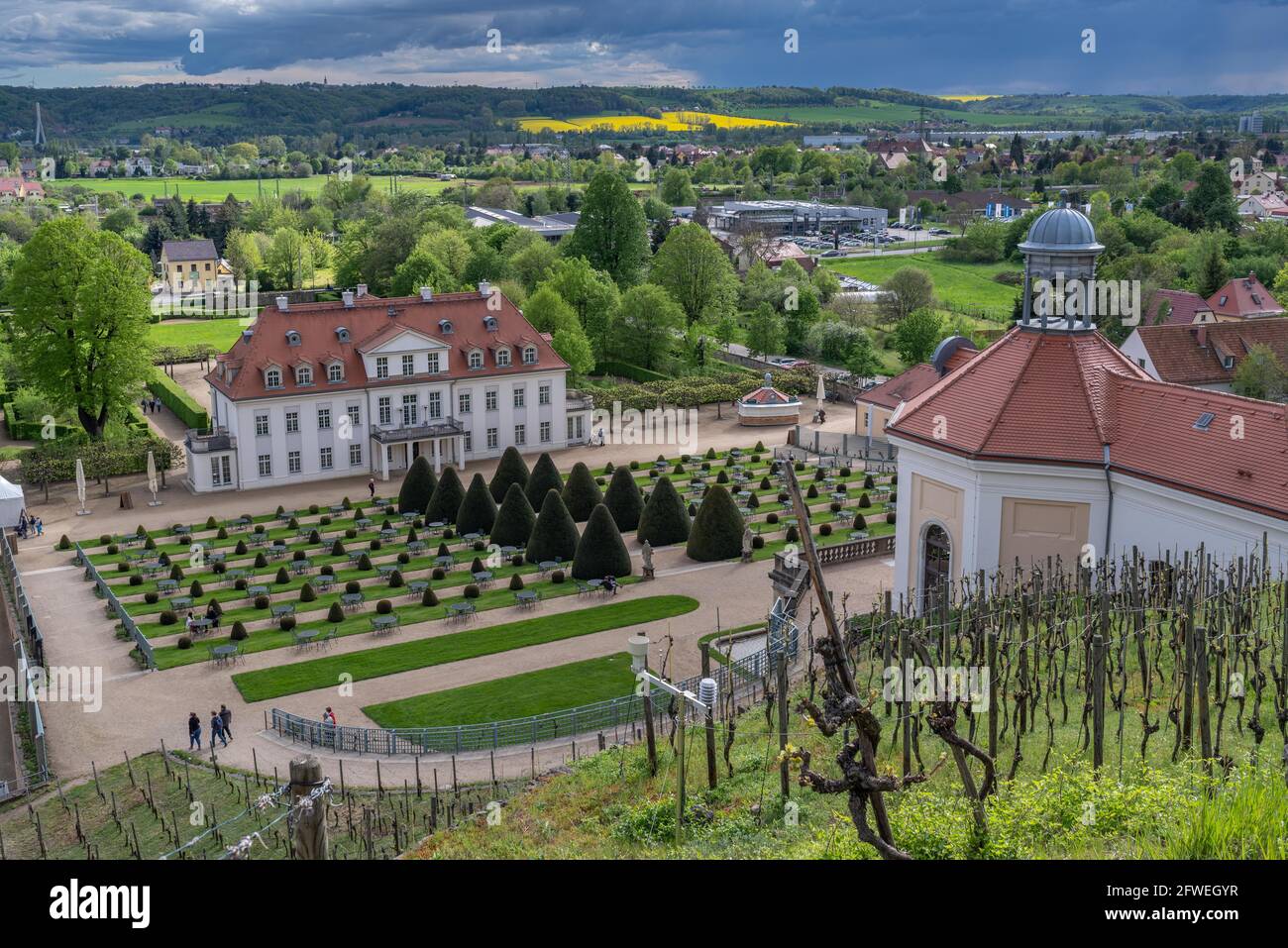 Weinwanderweg Sachsen, Schloss Wackerbarth, Weinberge im Frühling im frischen Grün, Mai Stock Photo