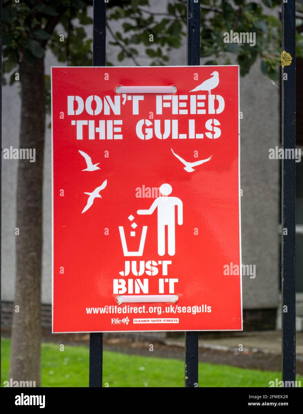 Don't Feed The Gulls Sign, Fife, Scotland, UK Stock Photo