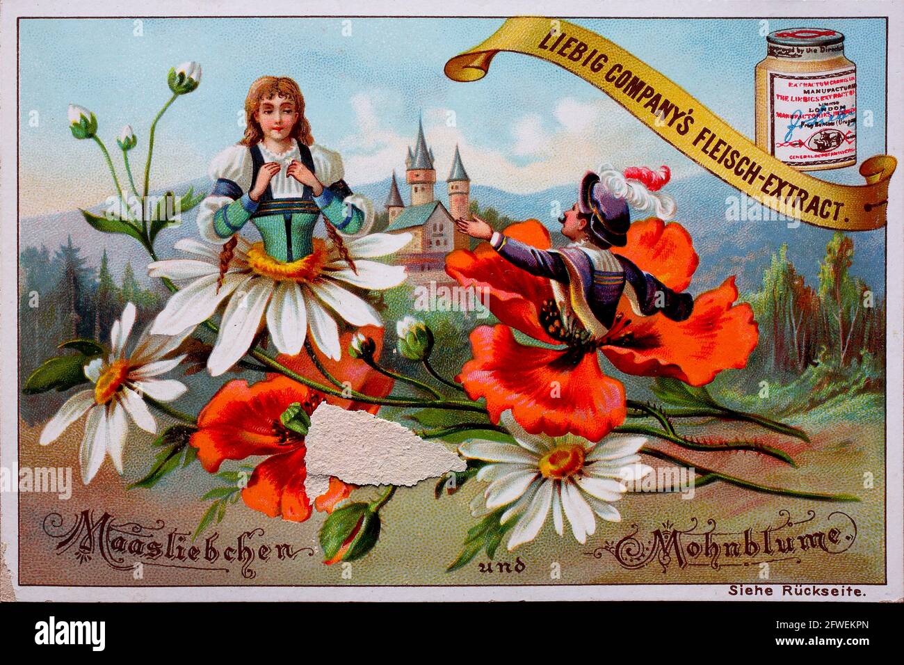 Flowers and people series, Massliebchen and poppy flower  /  Serie Blumen und Menschen, Massliebchen und Mohnblume, Liebigbild, digital improved reproduction of a collectible image from the Liebig company, estimated from 1900, pd  /  digital verbesserte Reproduktion eines Sammelbildes von ca 1900, gemeinfrei, Stock Photo