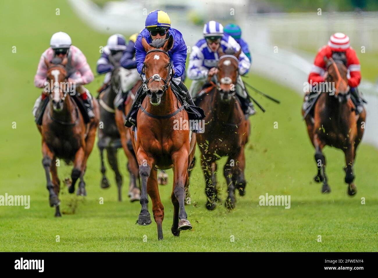 Silvestre De Sousa riding Flotus (centre, blue/yellow) wins The MansionBet Bet 10 Get 20 EBF Maiden Fillies' Stakes at Goodwood racecourse in Chichester. Picture date: Saturday May 22, 2021. Stock Photo