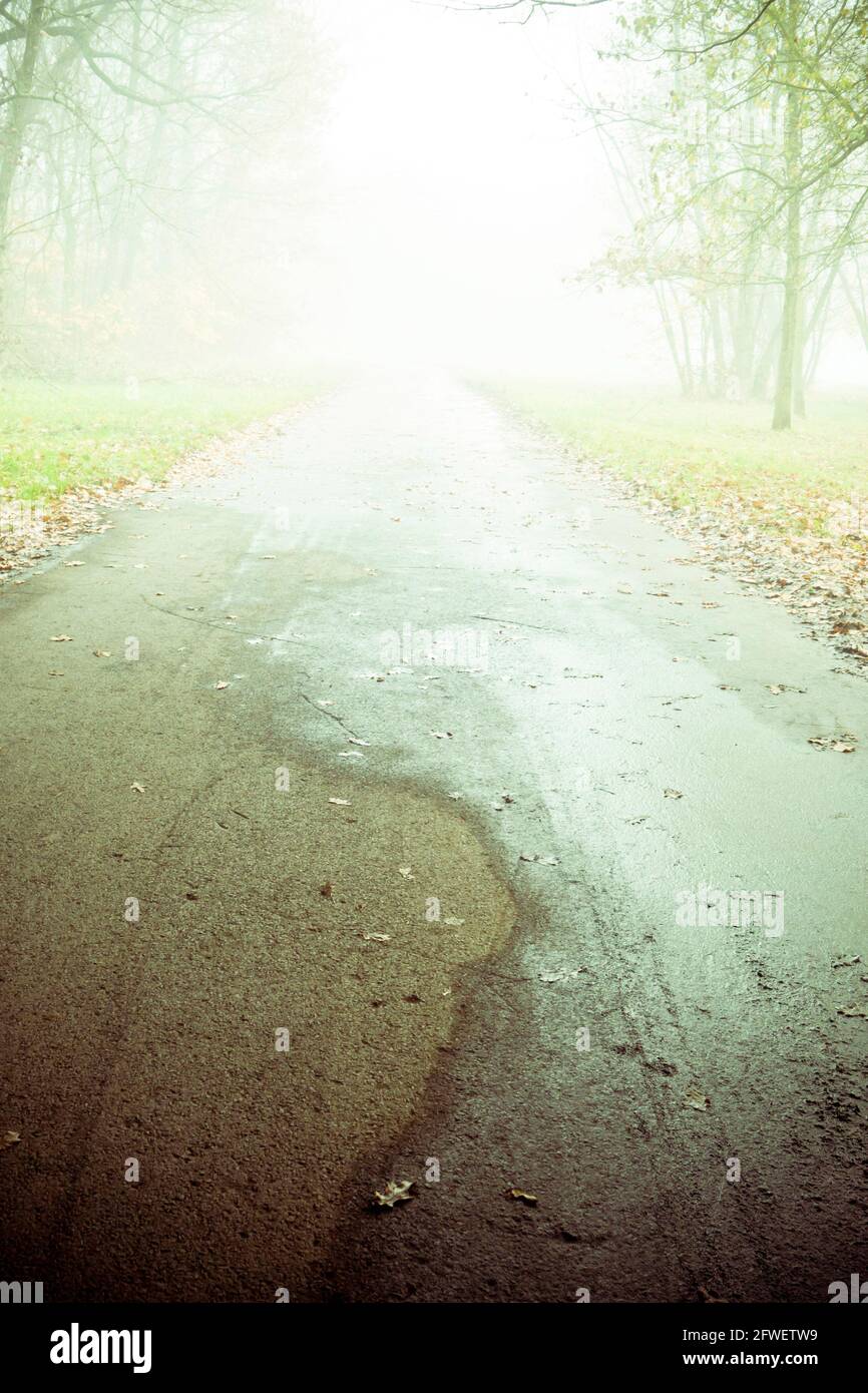 Mysterious foggy road hi-res stock photography and images - Alamy