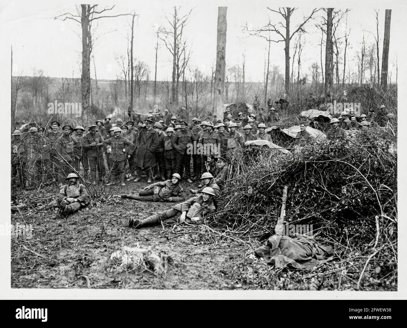 World War One, WWI, Western Front - A London Territorial Regiment encamped in a wood near the fighting line, France Stock Photo