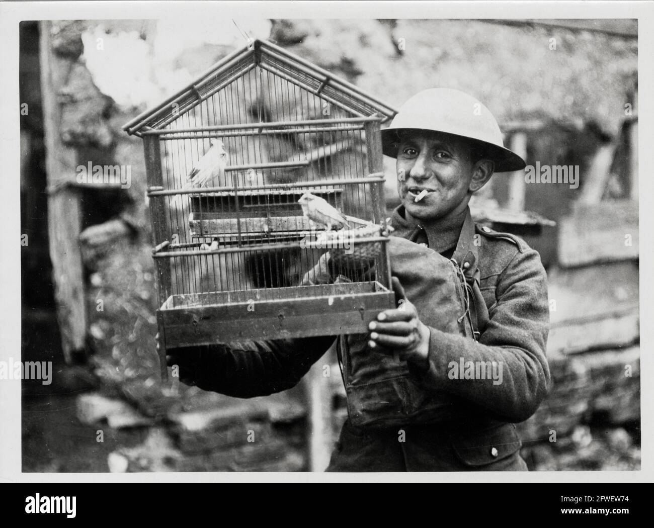 World War One, WWI, Western Front A soldier rescues two caged