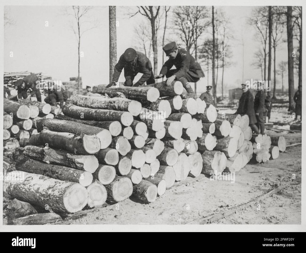 World War One, WWI, Western Front - Men getting logs ready to be taken to the sawmills, France Stock Photo