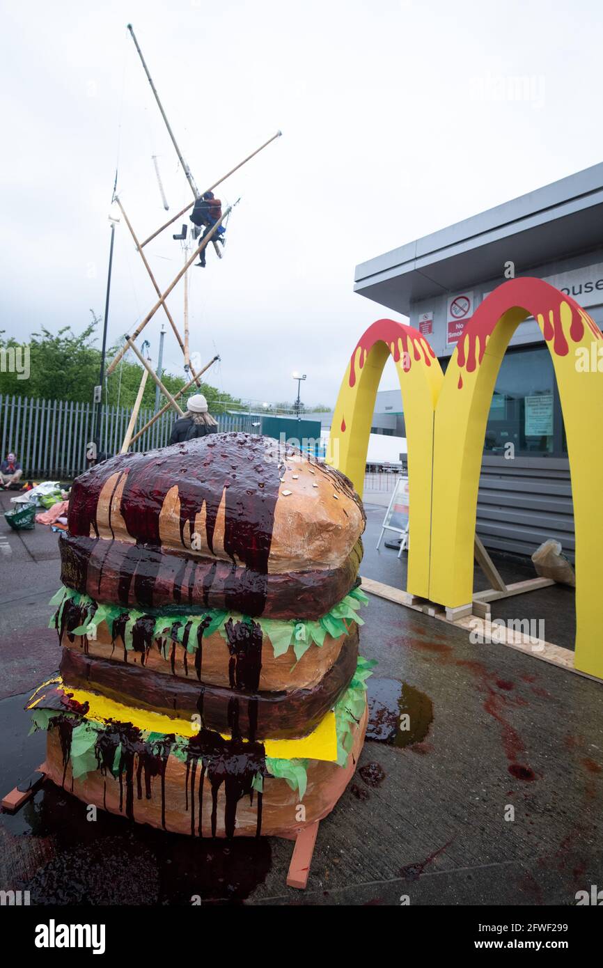 Hemel Hempstead, UK. 22.05.21 - Animal Rights activists blocked all 4 of McDonalds UK distribution centres. They view McDonalds as a symbol of industrial animal agriculture which contributes to the climate crisis as well as causing suffering to animals. Credit: Gareth Morris/Alamy Live News Stock Photo