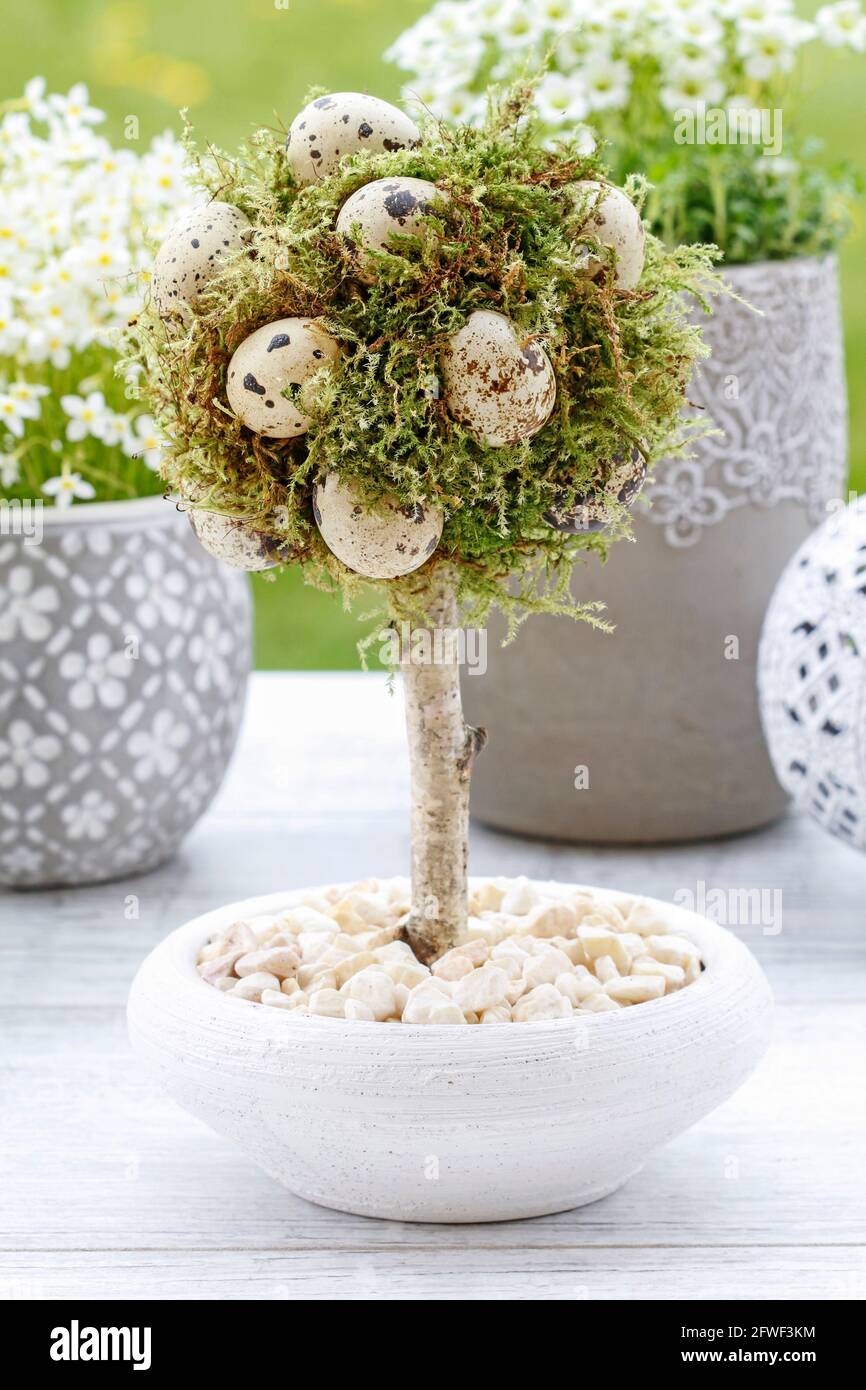 Moss green vase hi-res stock photography and images - Page 5 - Alamy
