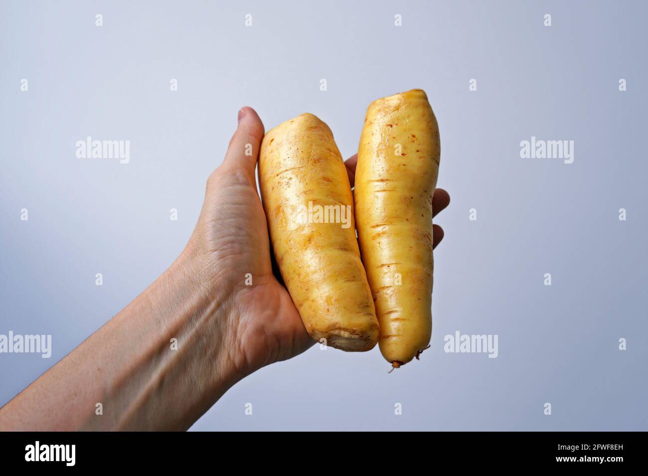 Batata baroa hi-res stock photography and images - Alamy