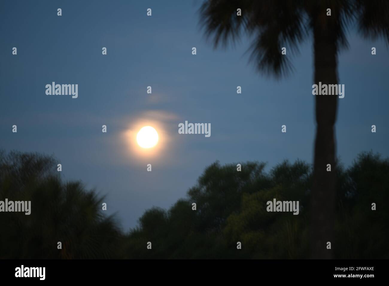 Large Moon over Charleston, sc Stock Photo