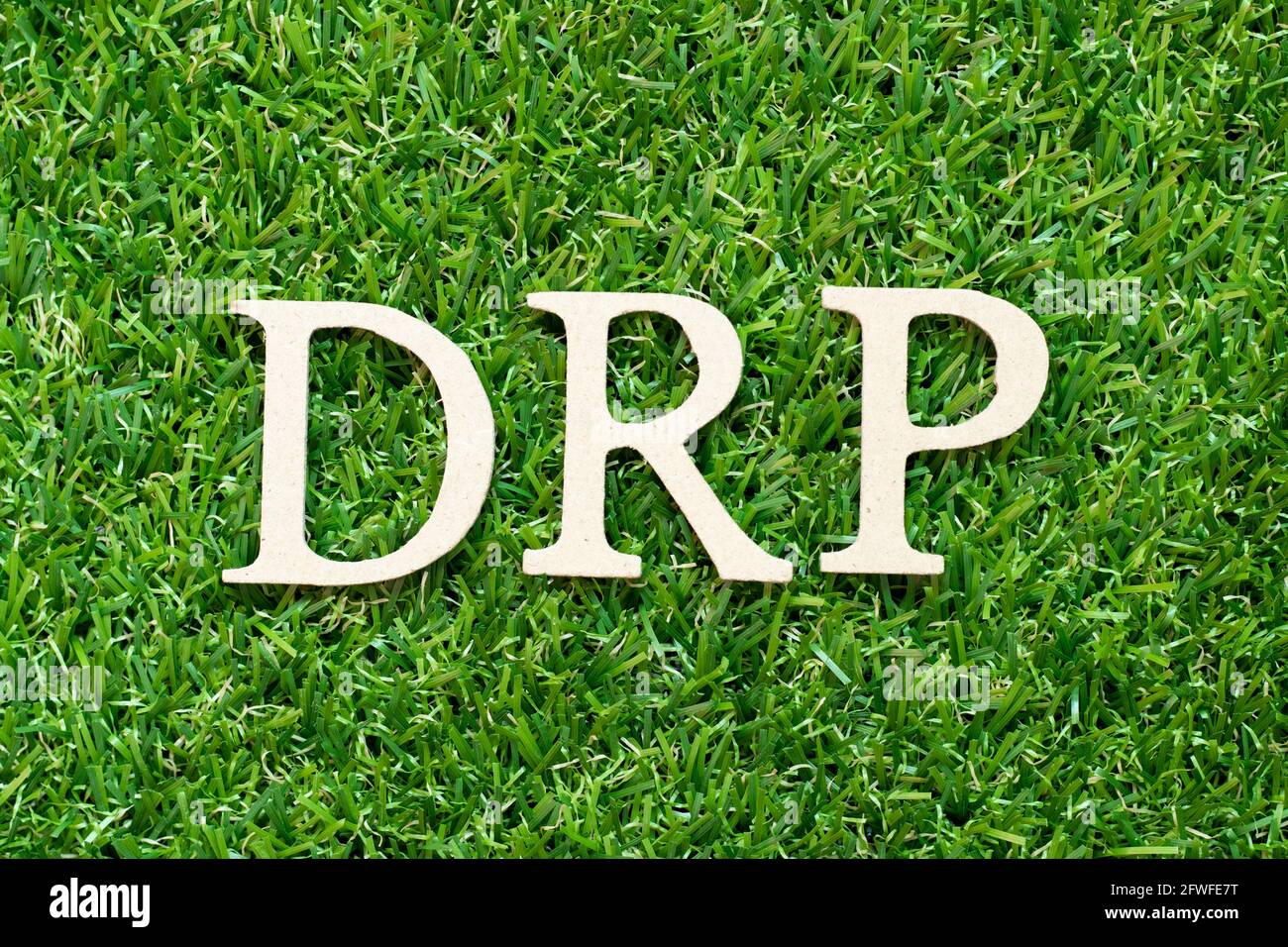 abbreviation for the word program abbreviation for the word program