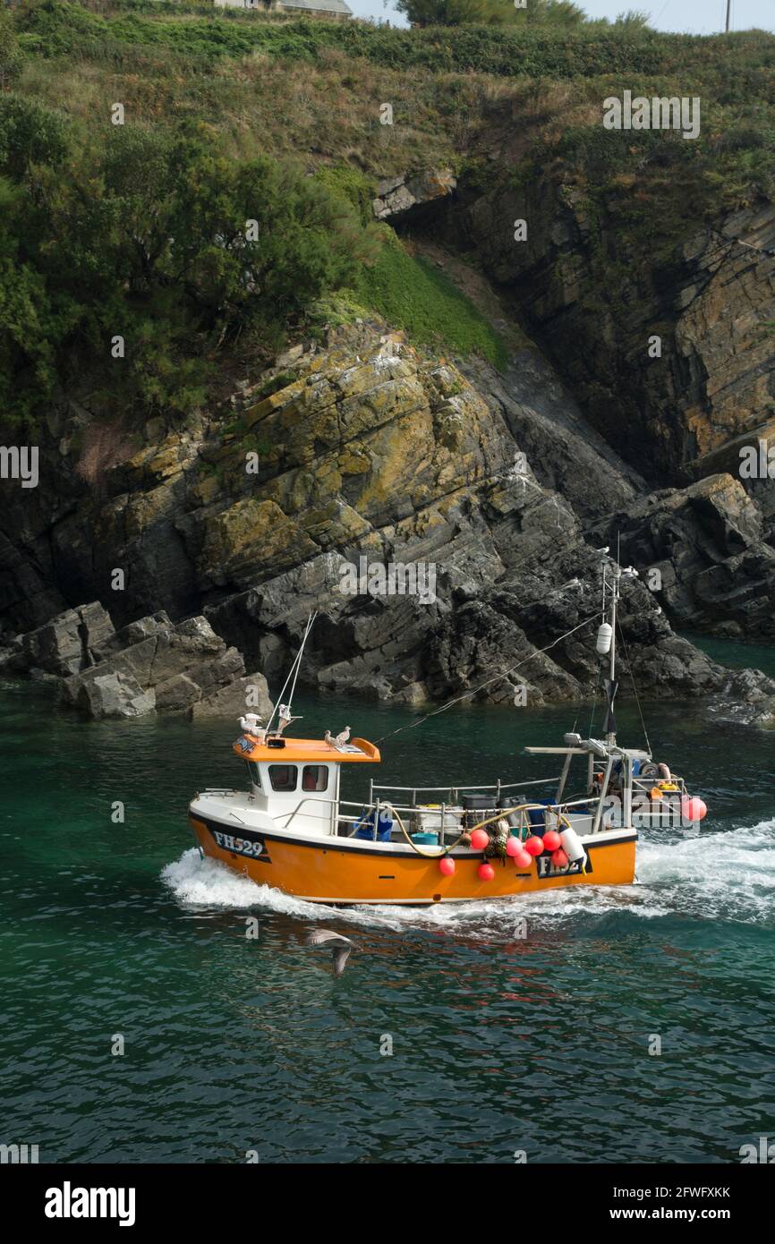 Fishing Boat Entering Harbour Cadgwith Cornwall Stock Photo - Alamy