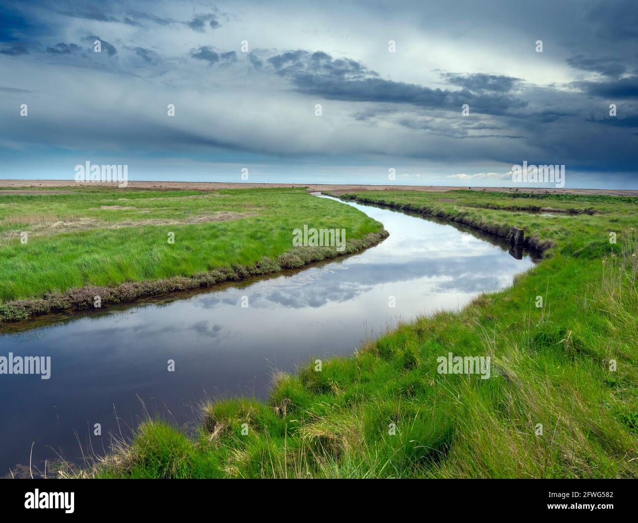 Dingle marshes on the coast near Dunwich Suffolk late May Stock Photo