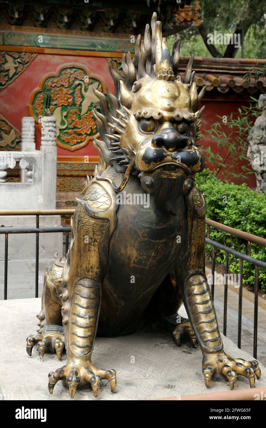 Chinese Guardian Dog Lion in the Imperial Gardens of The Forbidden City Palace Museum Beijing, China. Stock Photo