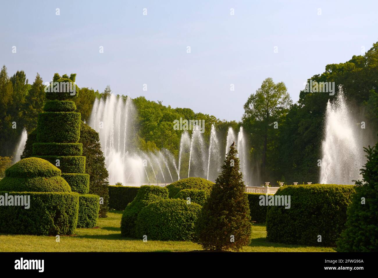 Topiary Garden, green shrubs, trees, shapes, water spouting, Main Fountain Garden, Longwood Gardens, Pennsylvania, Kennett Square, PA, spring Stock Photo