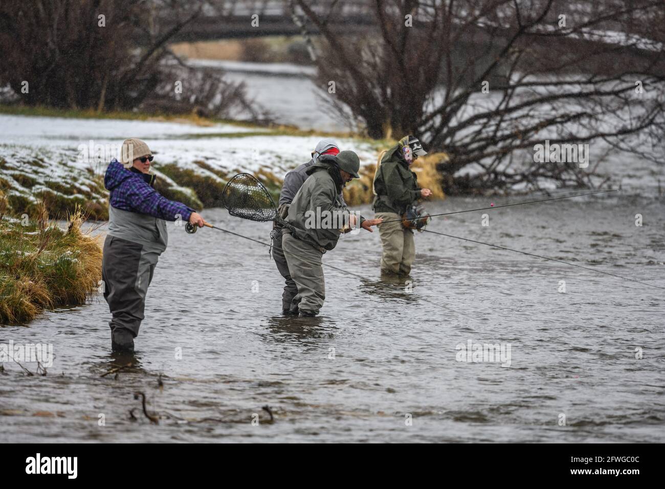 Man and women fly fishing in a river in a snowing day. Estes Park, Colorado, USA. Stock Photo
