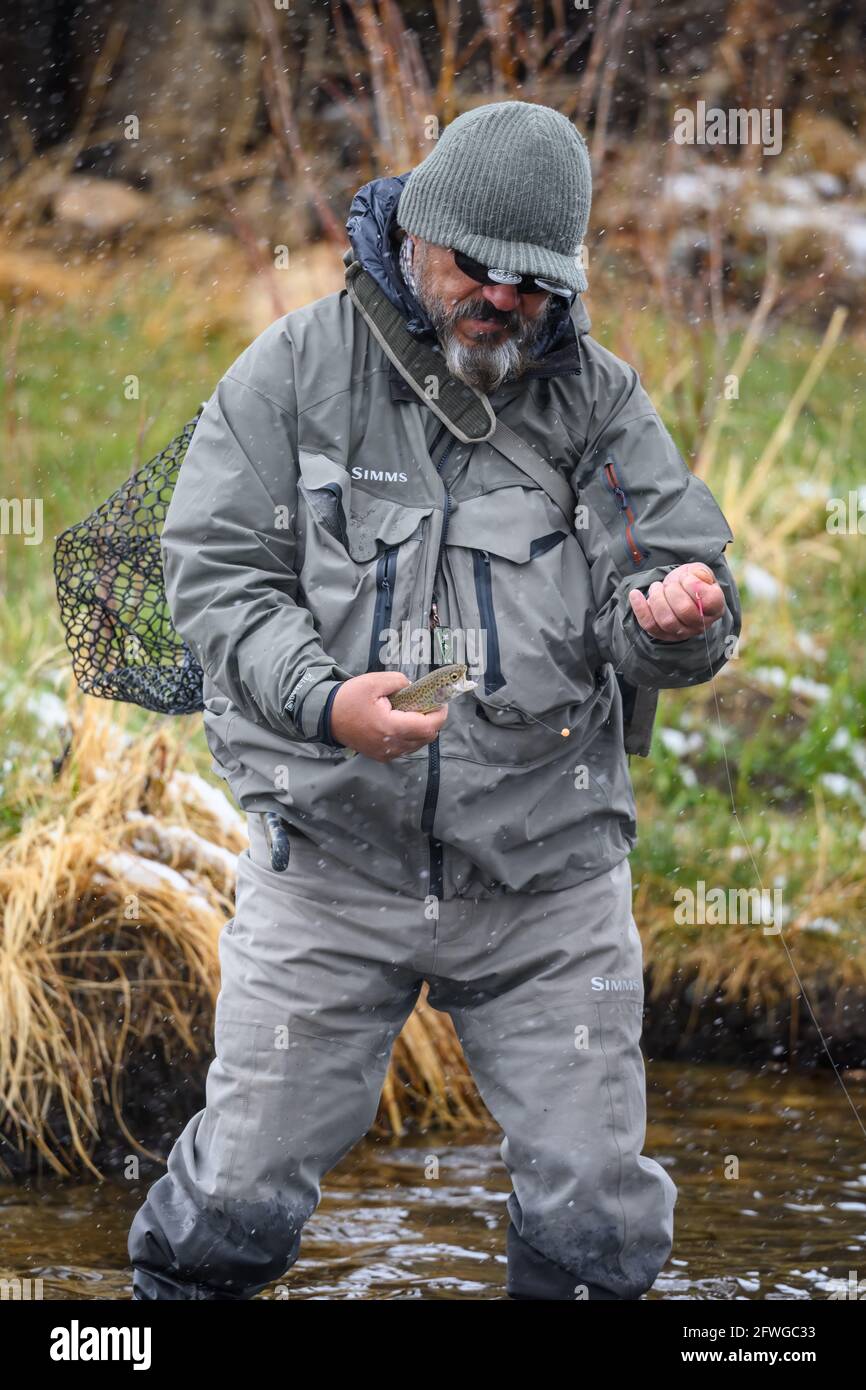 A man fly fishing in snow, caught a rainbow trout. Estes Park, Colorado, USA. Stock Photo