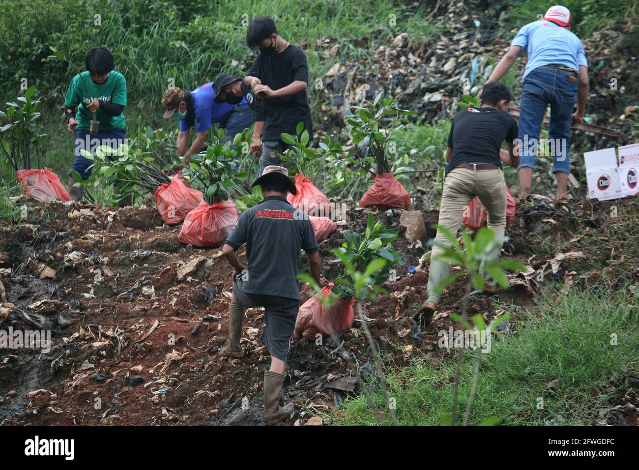 Bekasi, Indonesia. 22nd May, 2021. The Amphibi Institute carried out 500 mangrove trees planting by inviting several communities who care about the environment at the Bantar Gebang Landfill. Planting 500 Mangroves of Rhizopora (Apiculata) species carried out at the second level position of the mound or hill of garbage as an Amphibian solution to prevent landslides of hills or garbage mountains. (Photo by Kuncoro Widyo Rumpoko/Pacific Press) Credit: Pacific Press Media Production Corp./Alamy Live News Stock Photo