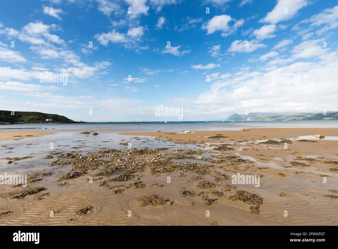 Low tide at Porthdinllaen, Lleyn Peninsula, Wales, UK Stock Photo Alamy