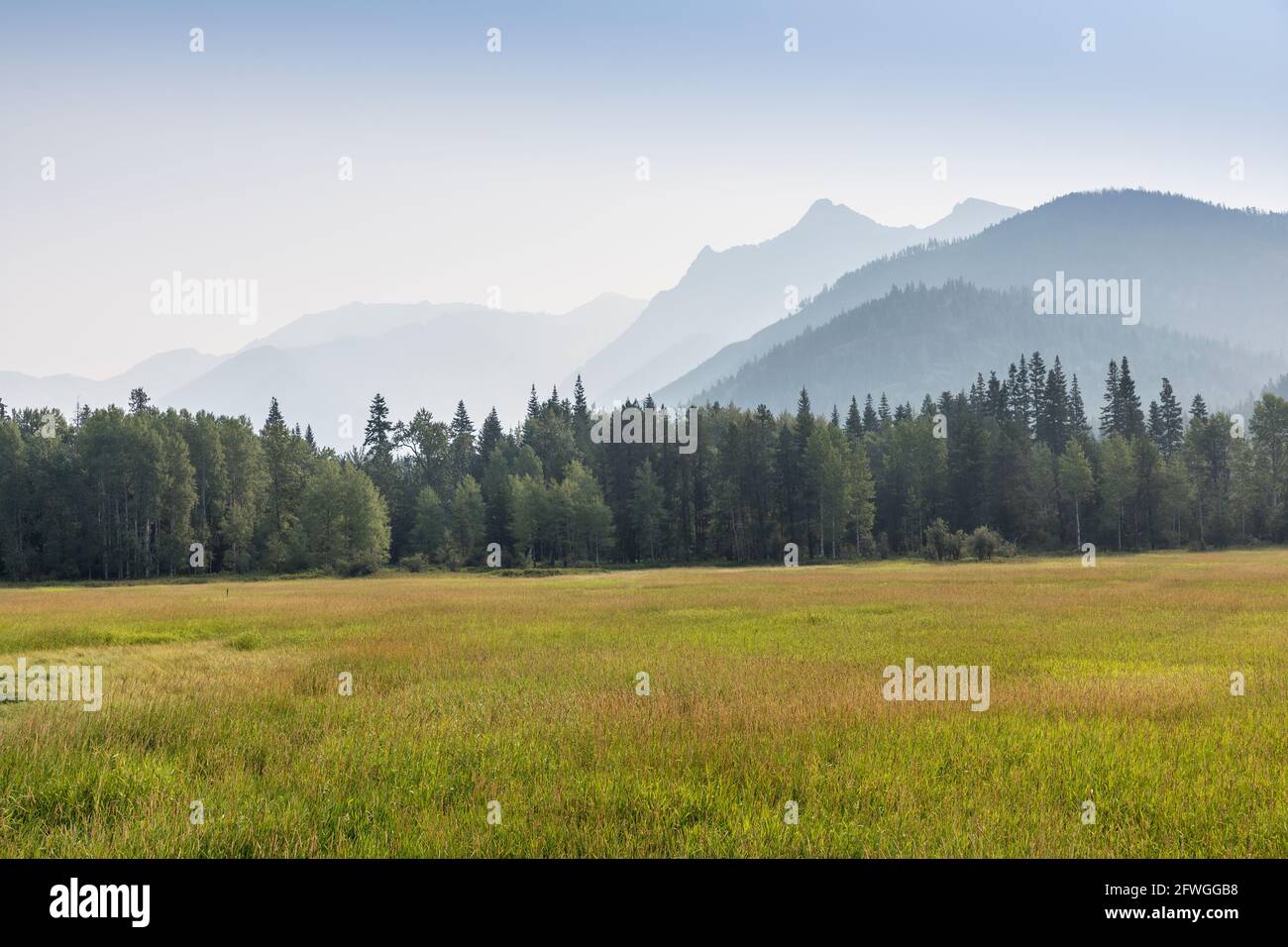 Grassslands looking towards the Cabinet Mountains, Kootenai National Forest, Montana, USA Stock Photo