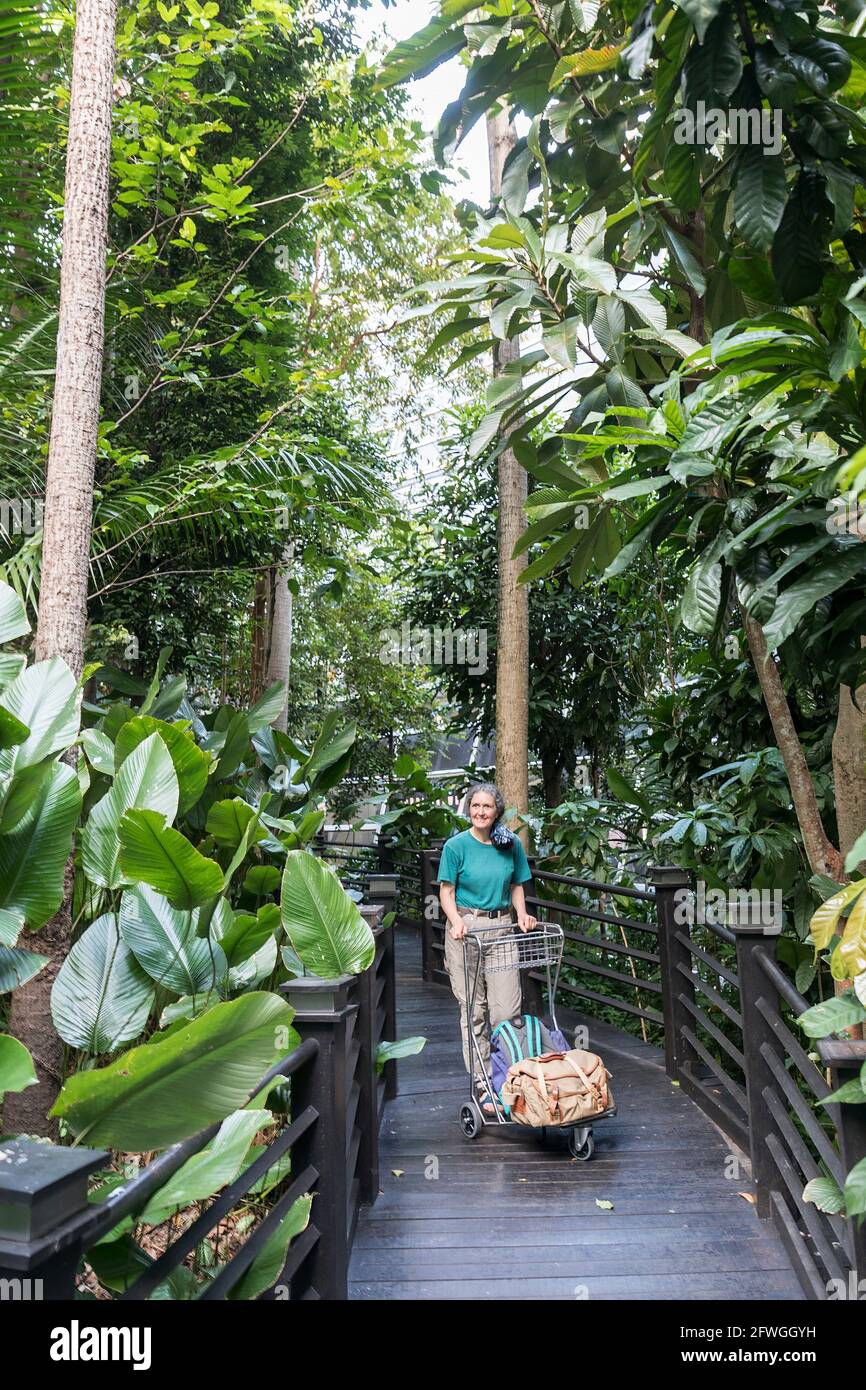 Traveller inside rainforest greenhouse in airport, Kuala Lumpur, Malaysia Stock Photo
