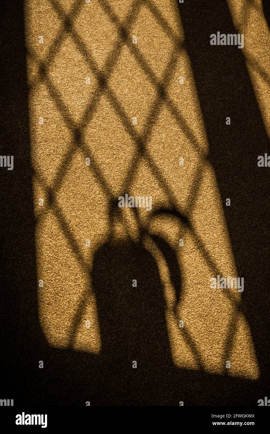 Window reflection room Stock Photo - Alamy