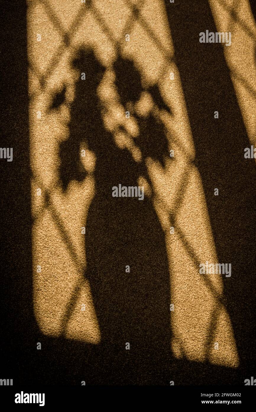 Window reflection room Stock Photo - Alamy