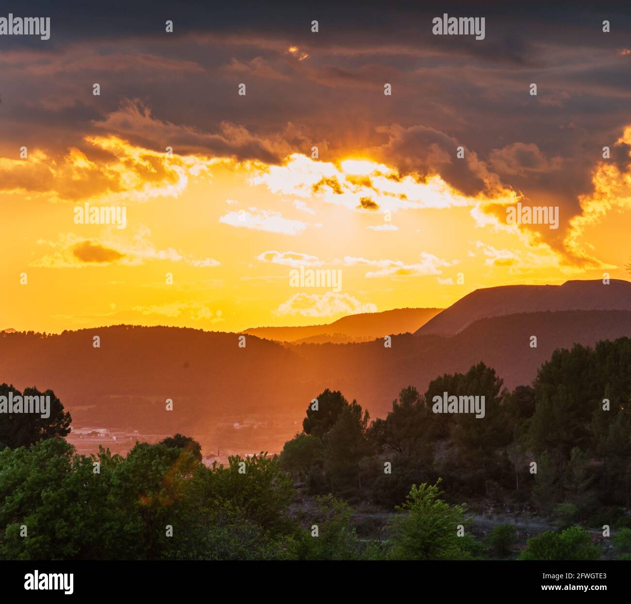 Horizontal view golden orange hi-res stock photography and images - Alamy