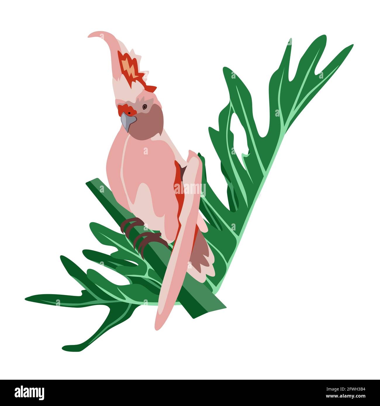 Tropical hand drawn colorful parrot with plants and leaves. Cockatoo pink plums parrot. Vector illustration isolated on white background. Stock Vector