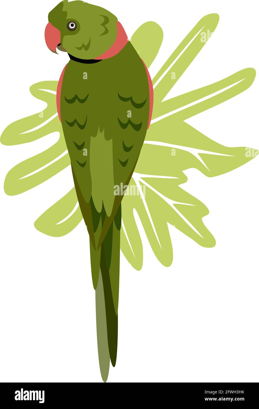 Tropical hand drawn colorful parrott with leaf background. Necklace parrot green plums red beak. Vector illustration isolated on white background. Stock Vector