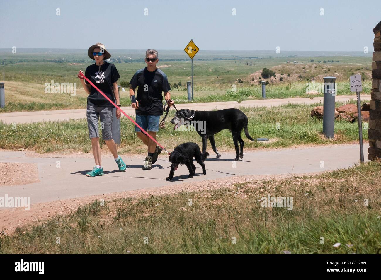 Couple walking dogs at public park - Texas USA Stock Photo