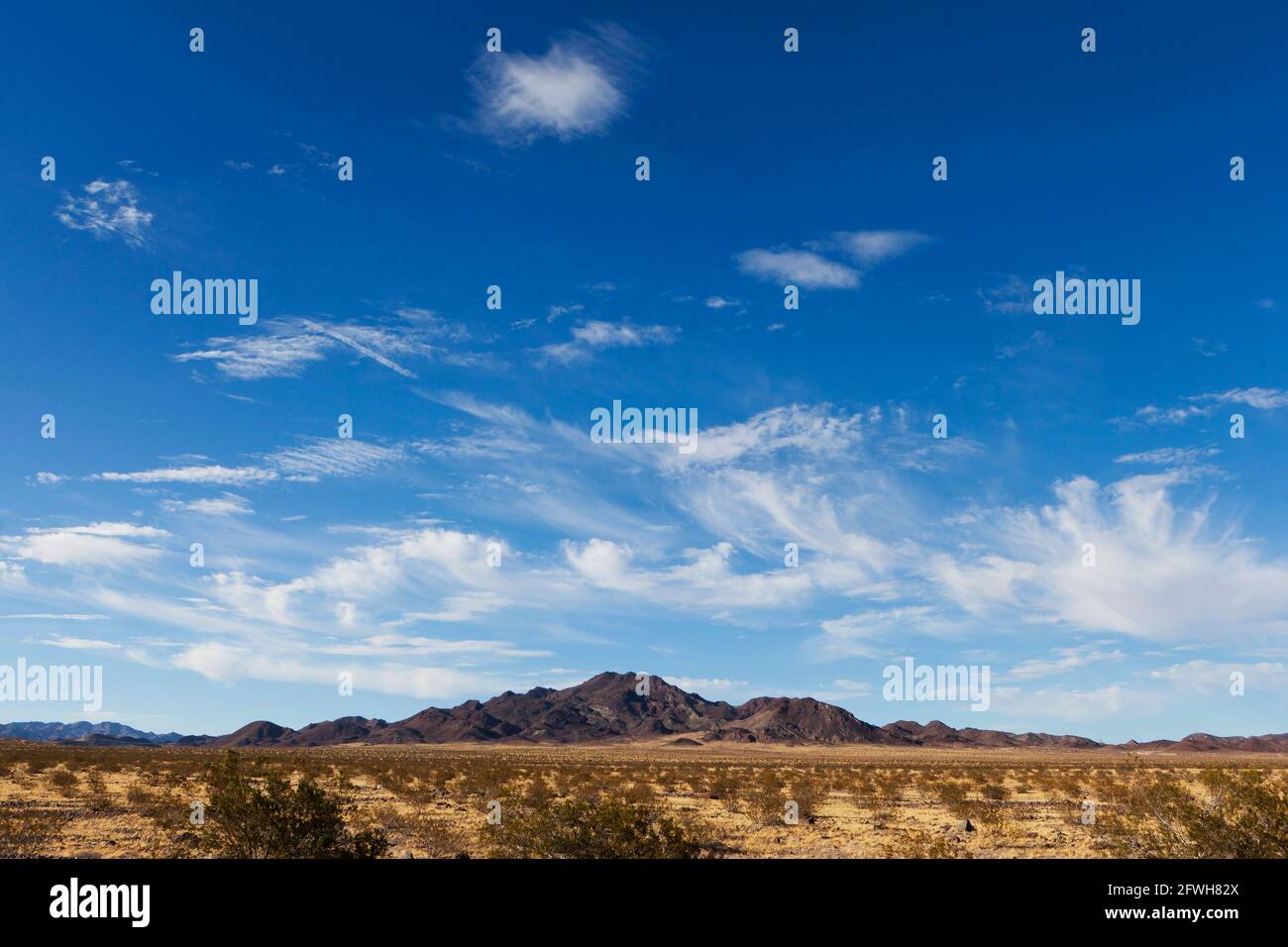 Mojave desert landscape - California USA Stock Photo