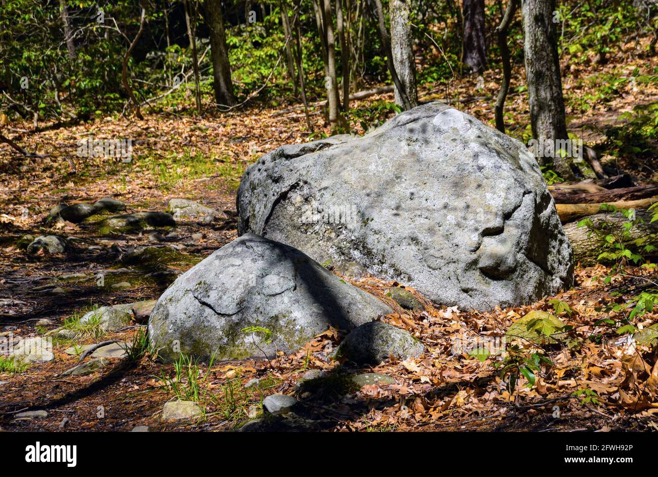 boulders in the woods of barrett park in leominster massachusetts Stock ...