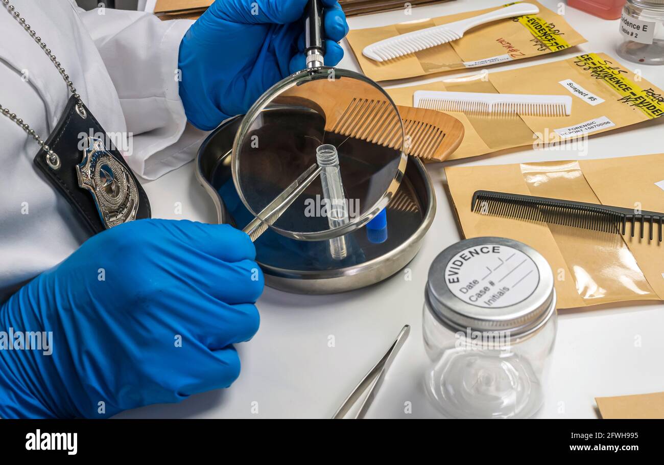 Specialized police take comb hair to take DNA from murder victim, conceptual image Stock Photo