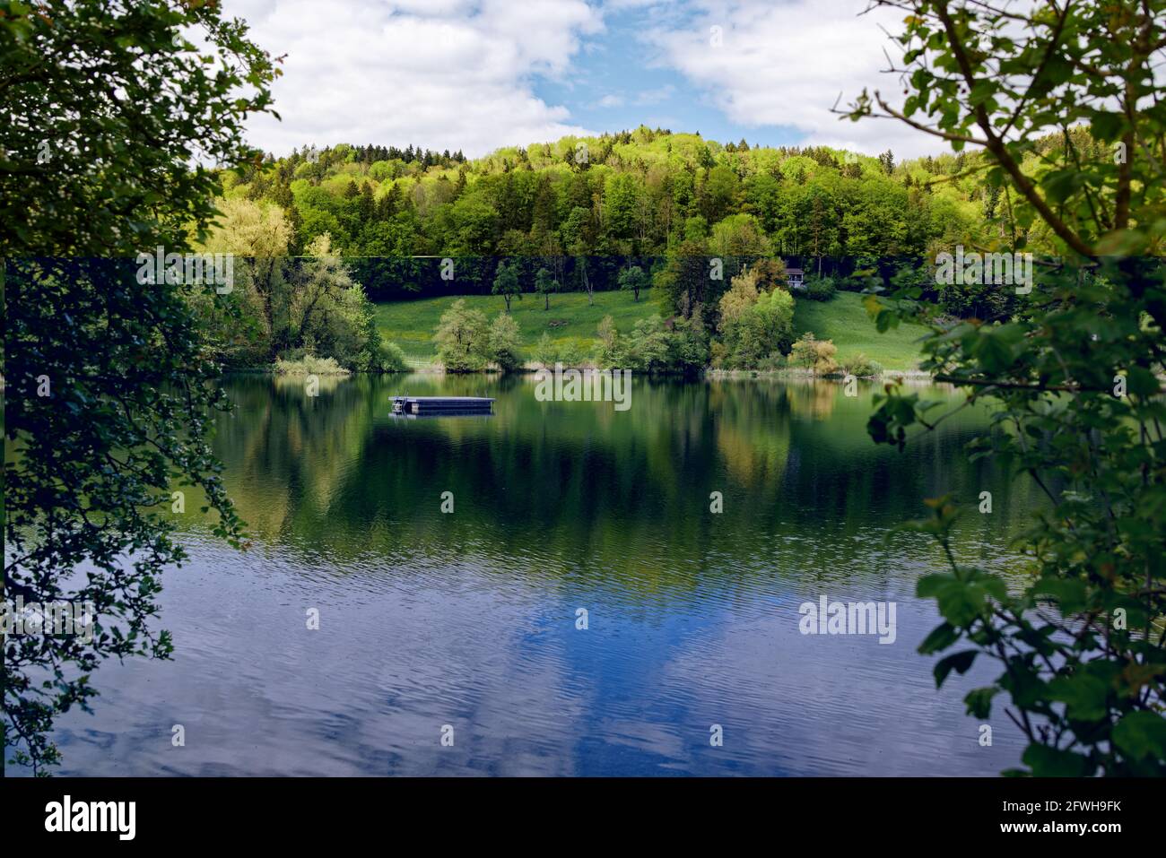 bichelsee in spring at noon, photographed from the shore overlooking the lake, empty swimming platform in front of a beautiful green forest, seabirds Stock Photo