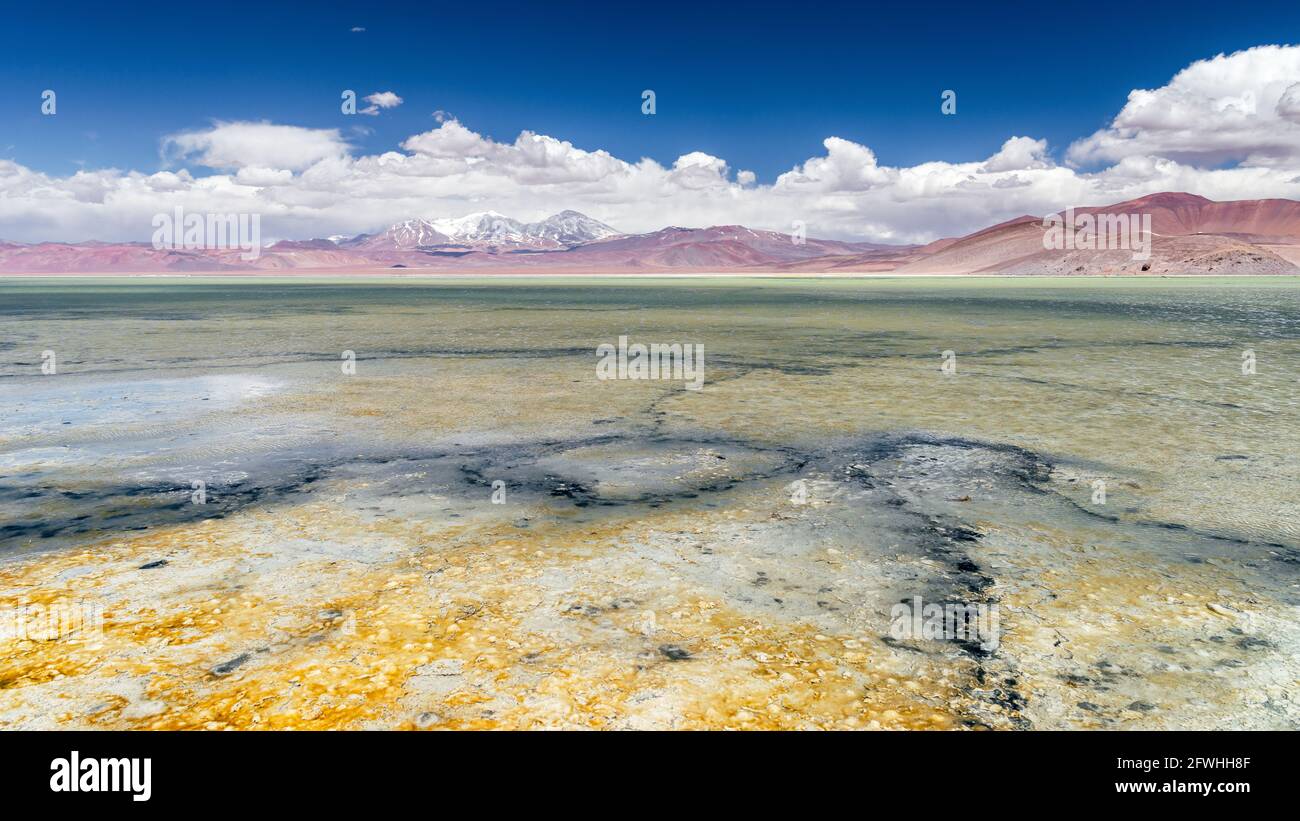 Laguna Santa Rosa On The High altitude Salt Flat Plateau In The Nevado laguna-santa-rosa-on-the-high-altitude-salt-flat-plateau-in-the-nevado