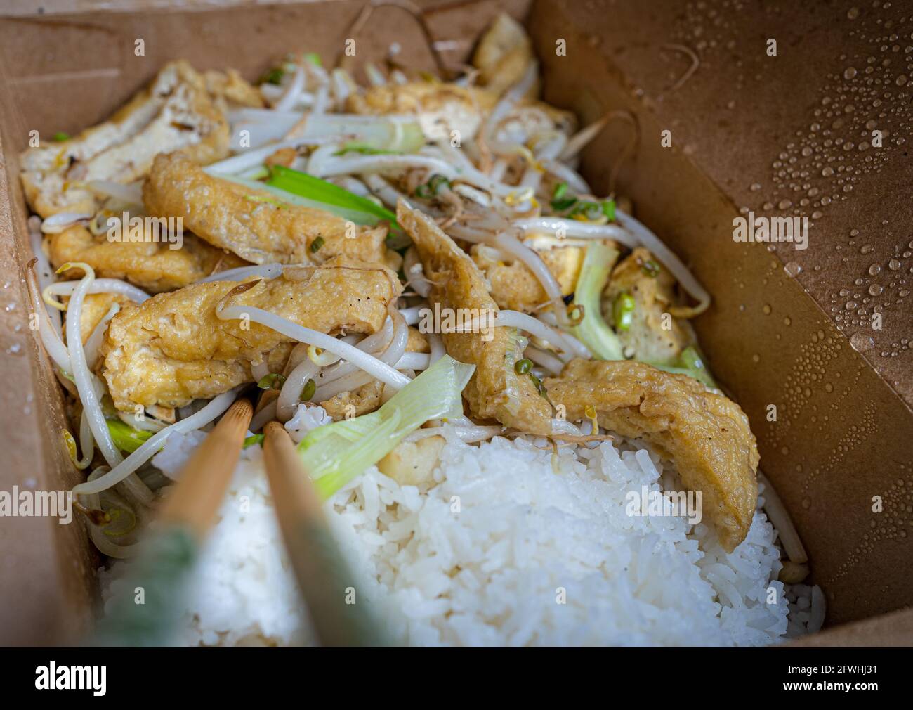 Vietnamese food dish Dau Xao Gia spring onions, tofu, bean sprouts