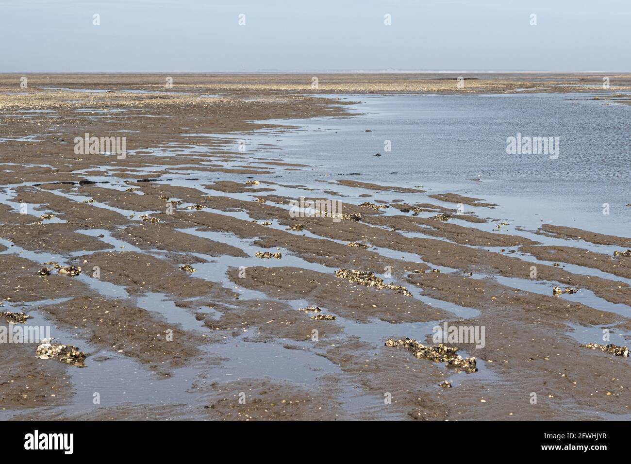 Plow furrows and traces of the peat extraction of the medieval cultivated land become visible at low tide in the mudflats off Hallig Hooge. Stock Photo