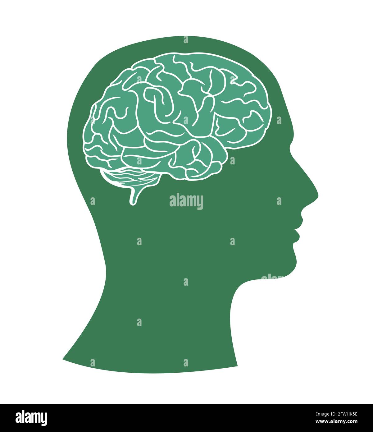Brain head vector illustration isolated on white background Stock ...