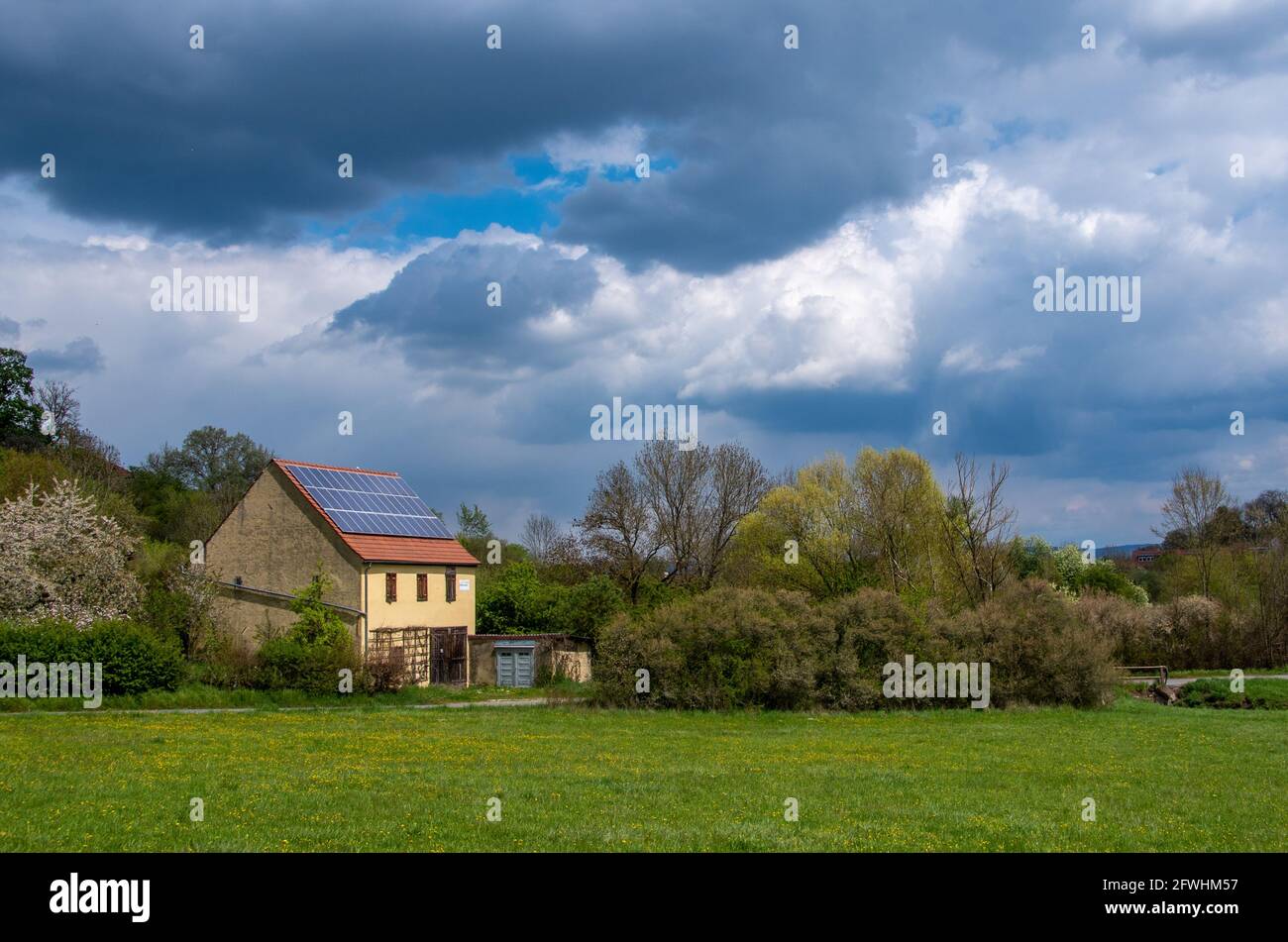 Spring in Bamberg, Germany. Flowers with blurred old townhall in background  Stock Photo - Alamy