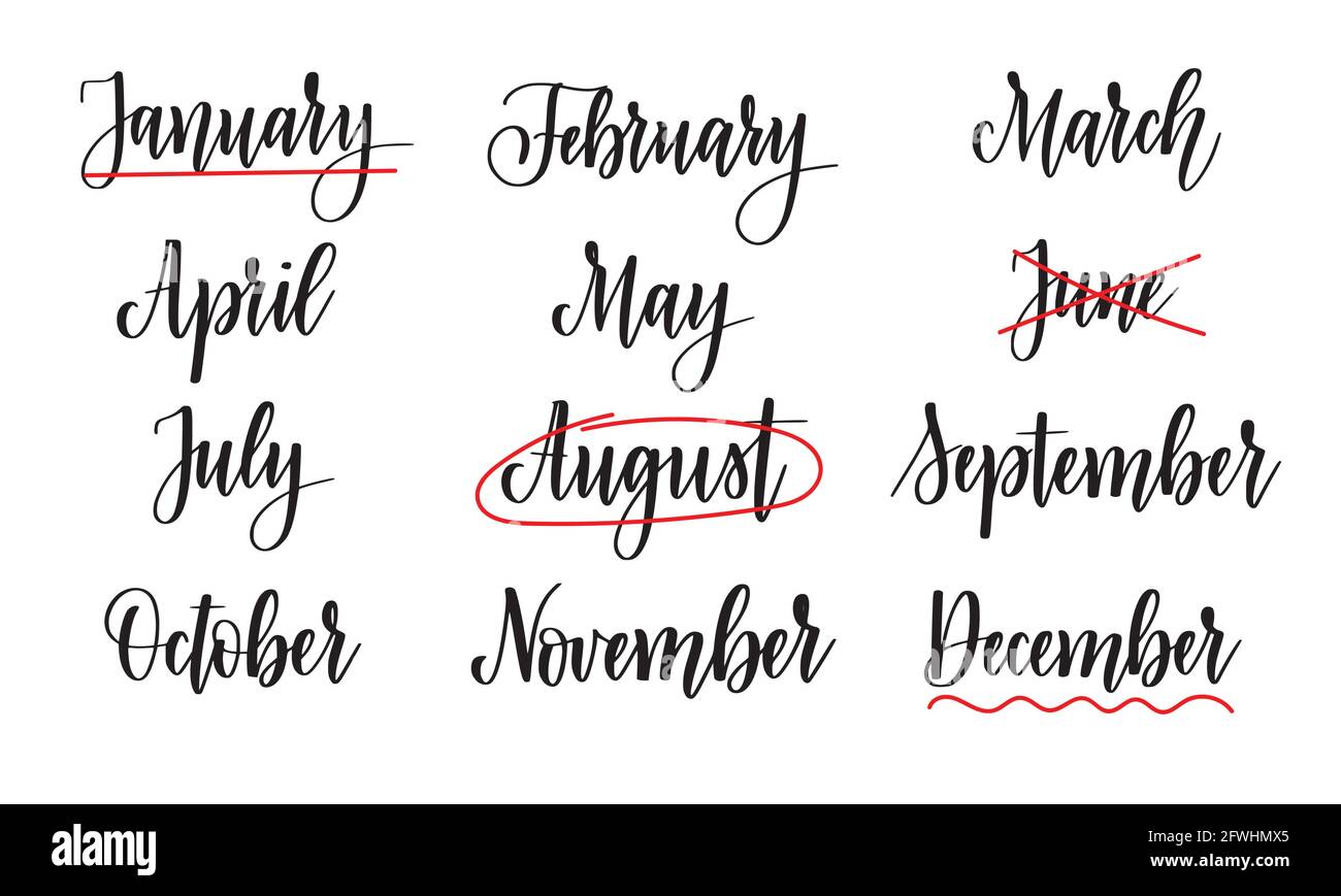 Vector calligraphy months names. Abstract calendar lettering design