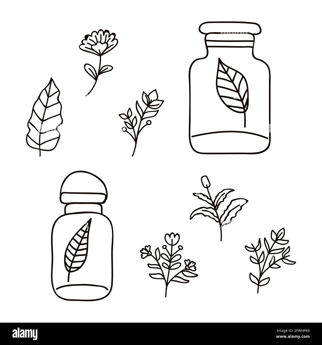 eight floral drawns set icons Stock Vector