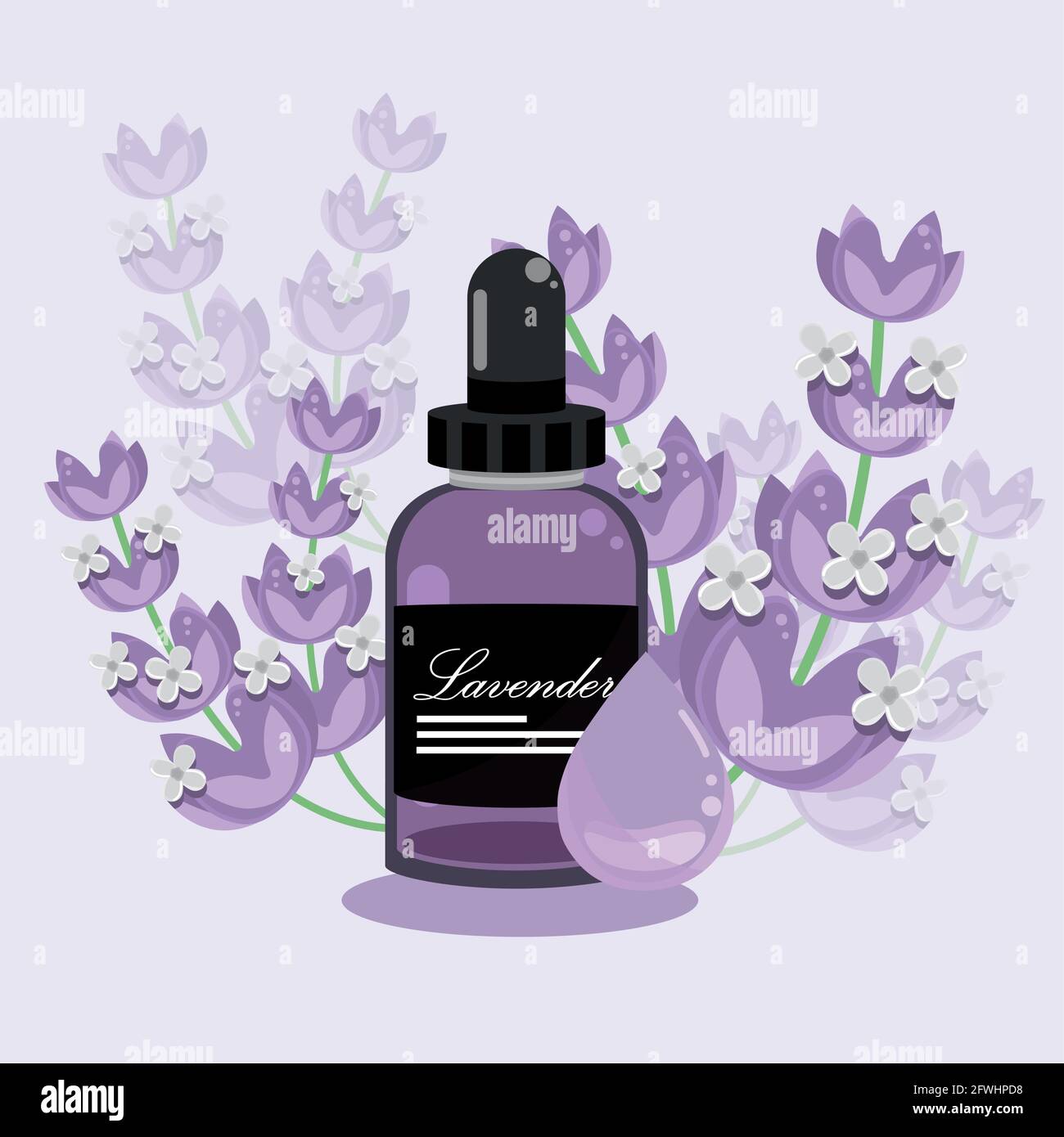 lavender essential oil Stock Vector Image & Art - Alamy
