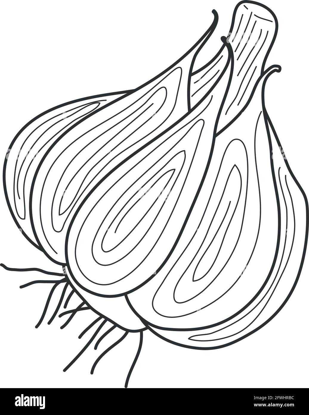 garlic food one line style Stock Vector Image & Art - Alamy