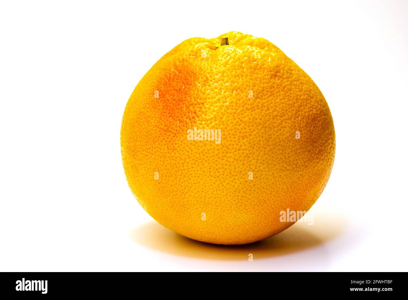 One whole fresh grapefruit on white background Stock Photo