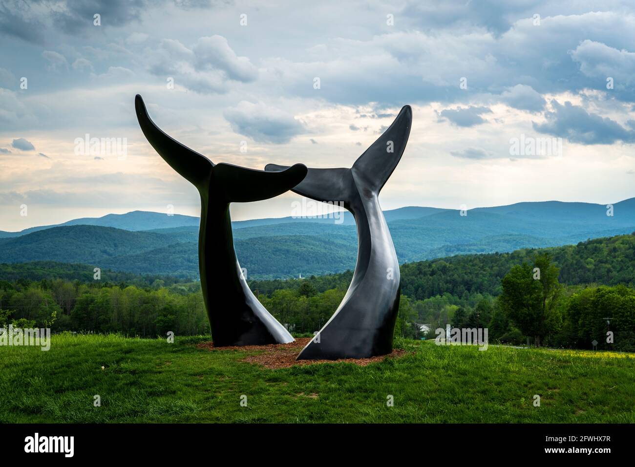 Reverence Whale Tails in Vermont Stock Photo