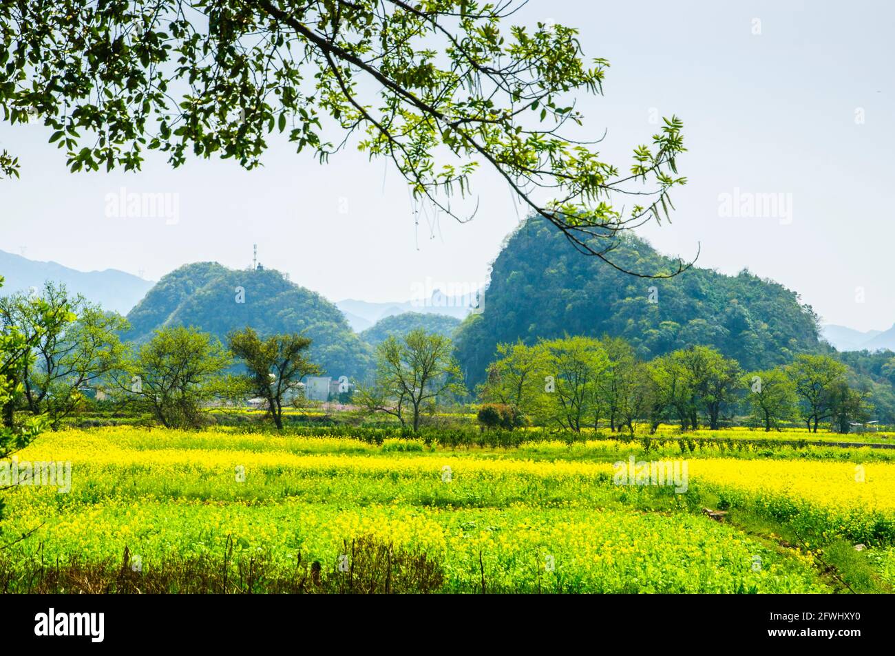 Spring scenery, Guilin, China Stock Photo - Alamy