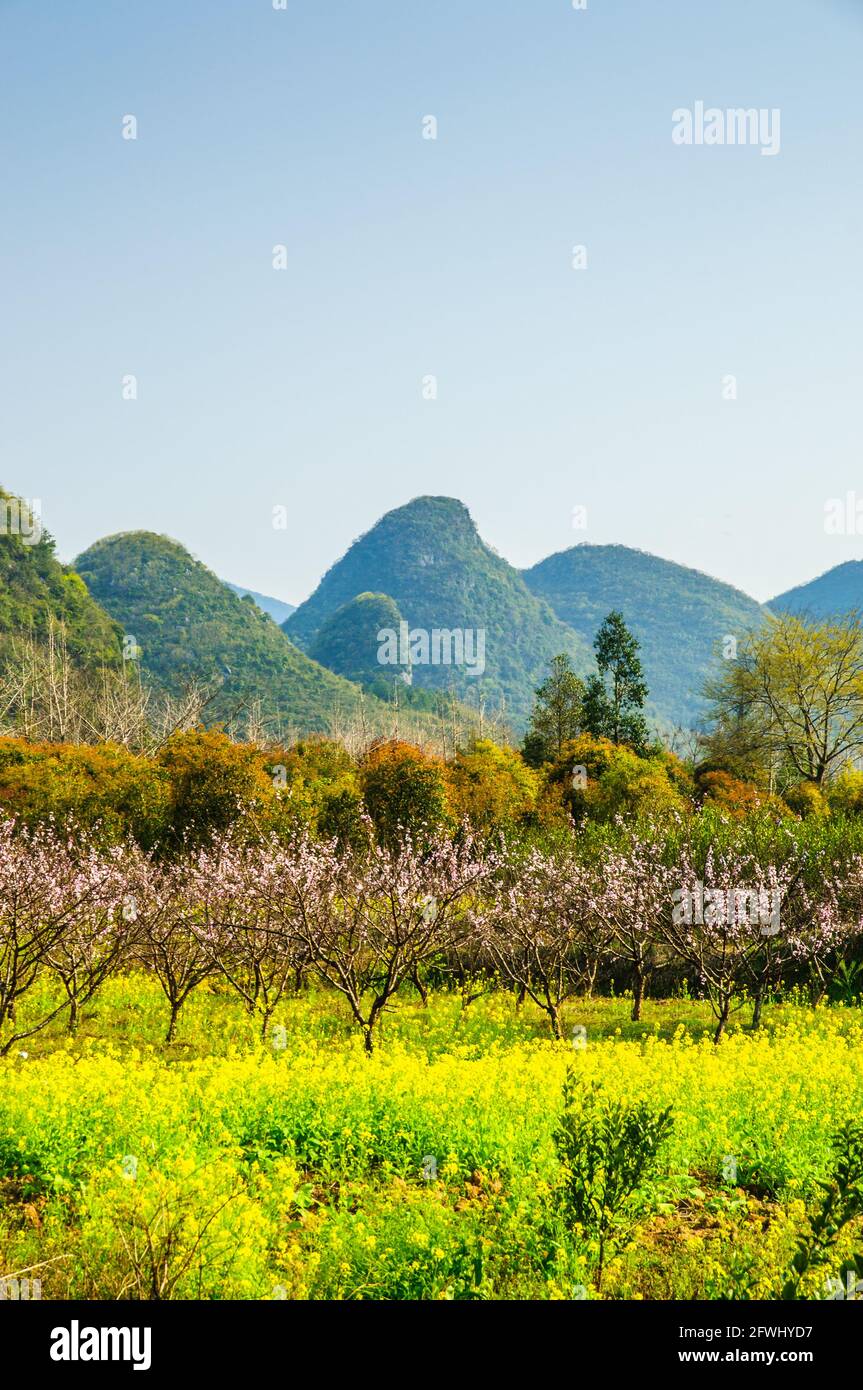 Spring attraction hi-res stock photography and images - Alamy