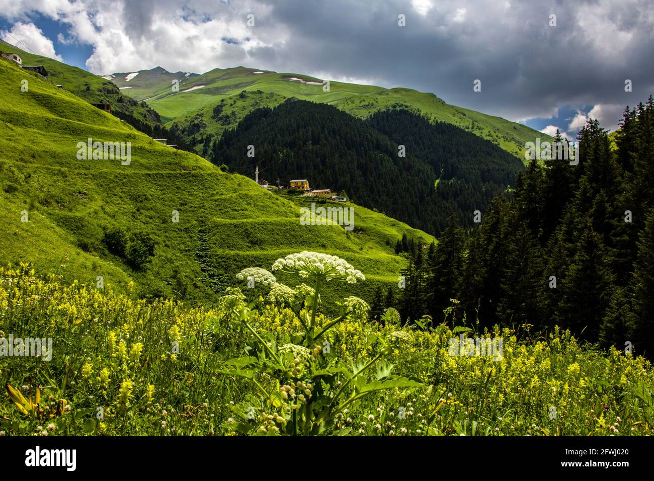 High in th sky hi-res stock photography and images - Alamy