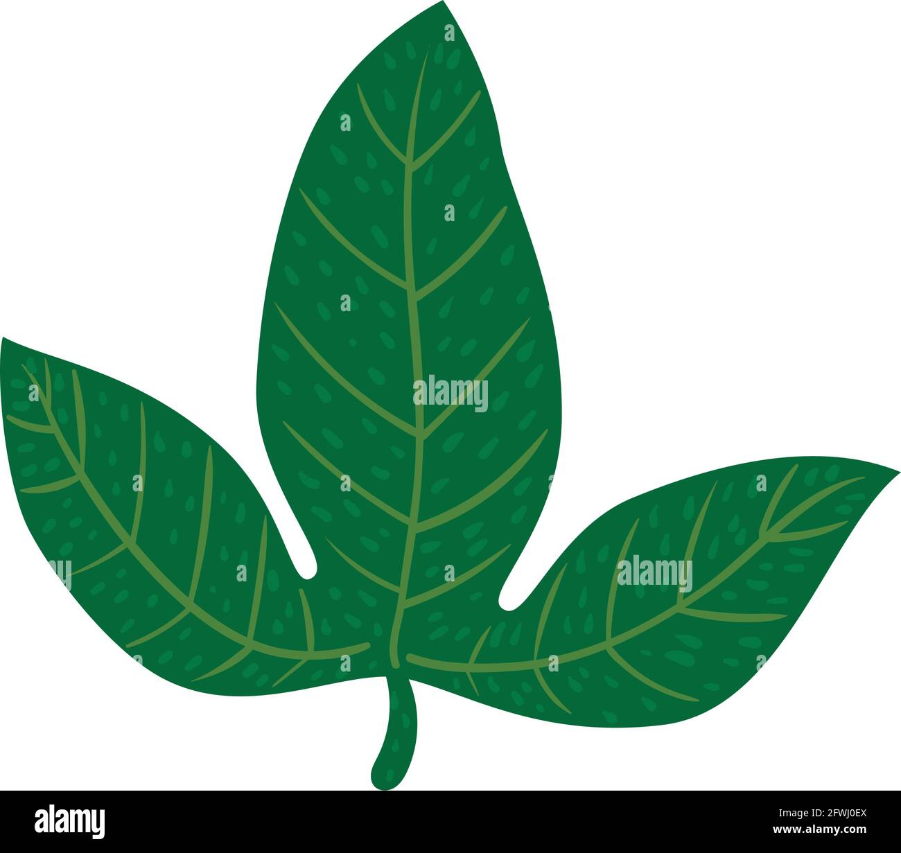 tropical green leaf Stock Vector Image & Art - Alamy