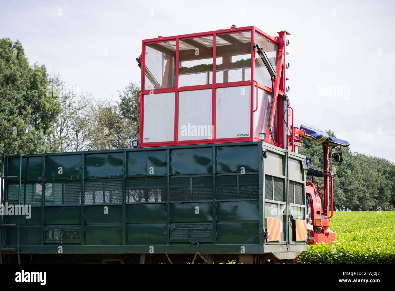 Tea Leave Farm Estate Plantation Plucking Machine At The James Finlay In Kericho County, Kenya Stock Photo