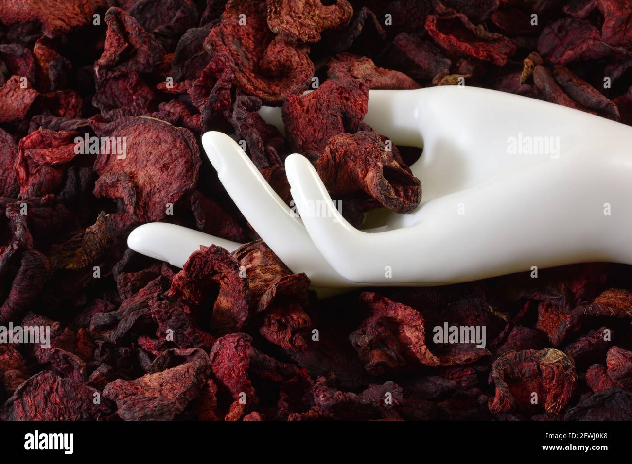 White mannequin hand in the middle of a pile of organic beet chips Stock Photo